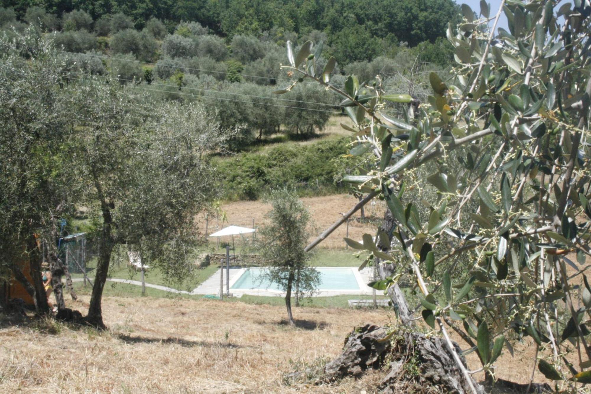 Spacious Room "Ragusana" For 2 Guests & Child Donnini Exterior foto
